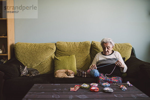 Häkeln einer älteren Frau  die neben ihren schlafenden Katzen auf der Couch sitzt.