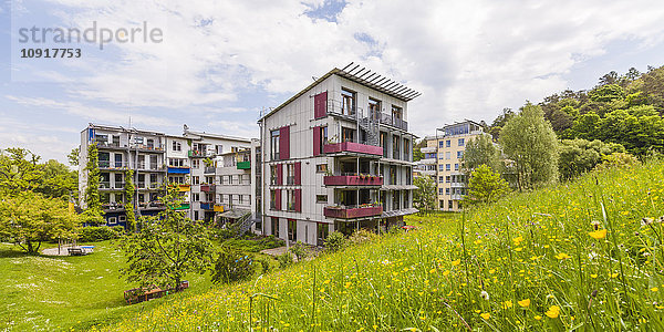 Deutschland  Tübingen  ökologische Mehrfamilienhäuser im französischen Viertel