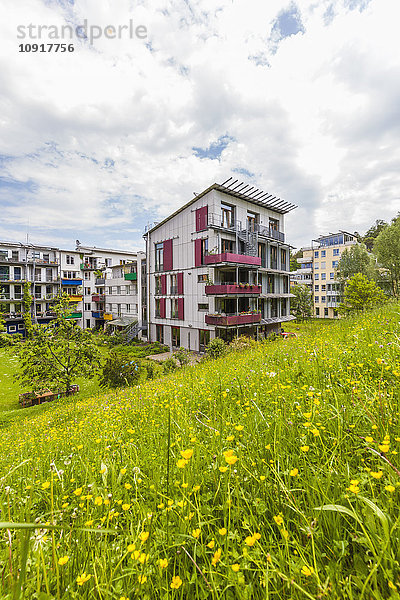 Deutschland  Tübingen  ökologische Mehrfamilienhäuser im französischen Viertel