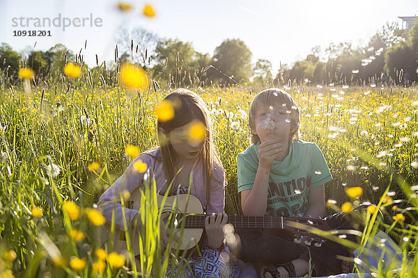 Bruder und Schwester sitzen zusammen auf einem Blumenfeld und spielen Gitarre und blasen Blowball.