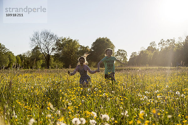 Bruder und Schwester laufen im Frühling auf einem Blumenfeld.