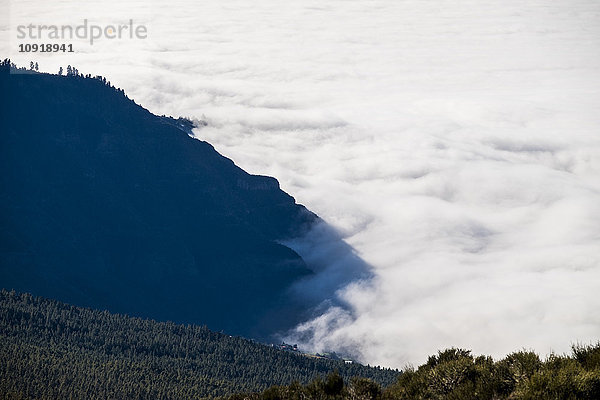 Spanien  Teneriffa  Nebel in den Bergen der Region El Teide