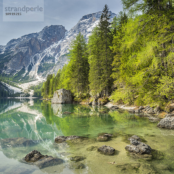 Italien  Südtirol  Dolomiten  Naturpark Fanes-Sennes-Prags  Pragser See mit Seekofel