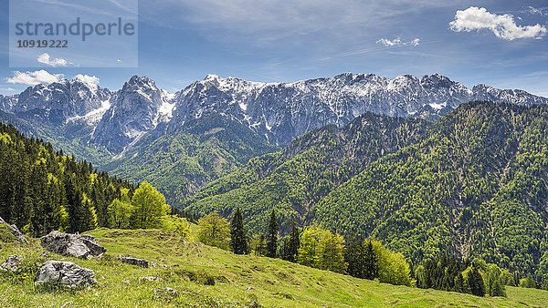 Österreich  Tirol  Alpen  Kaisertal  Wilder Kaiser