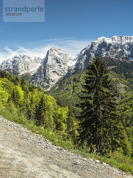 Österreich  Tirol  Alpen  Kaisertal  Wilder Kaiser