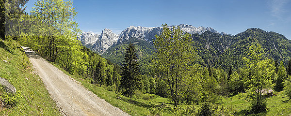 Österreich  Tirol  Alpen  Kaisertal  Wilder Kaiser