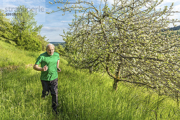 Seniorenjogging in der Natur