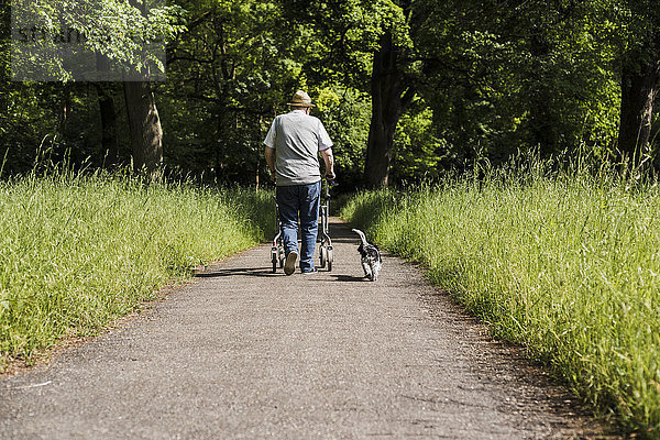 Rückansicht eines älteren Mannes  der mit einem Rollator und seinem Hund in der Natur spazieren geht.