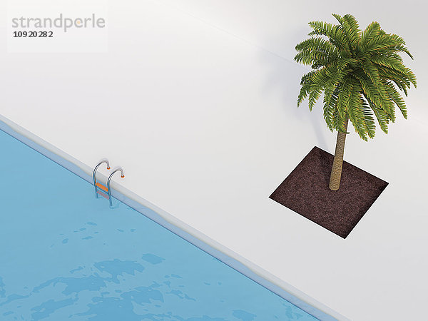 Palme im Schwimmbad  3D-Rendering
