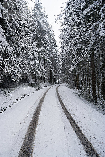 Reifenspuren auf verschneiter Forststraße