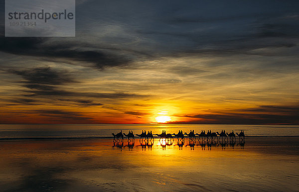 Silhouette der Kamelreiter bei Sonnenuntergang  Broome  Australien