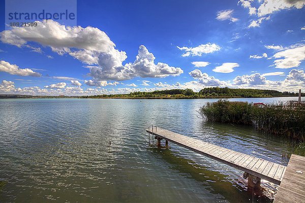 Hainer See  Leipziger Neuseenland  Kahnsdorf  Sachsen  Deutschland  Europa