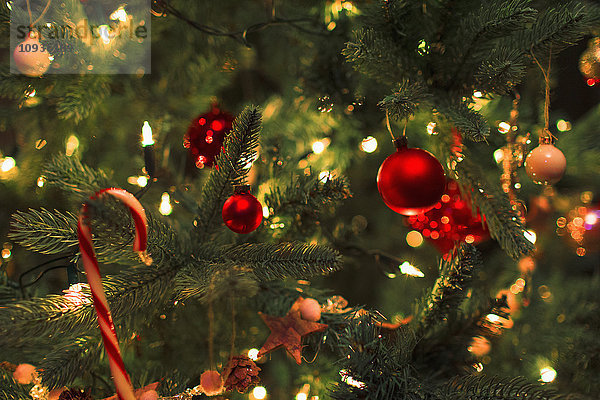 Nahaufnahme von Ornamenten und Lichterketten am Weihnachtsbaum