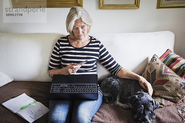 Senior Frau mit Kreditkarte und Laptop beim Streicheln Hund auf dem Sofa