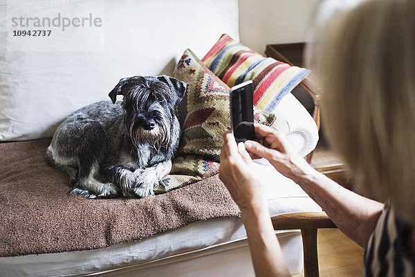 Abgeschnittenes Bild einer älteren Frau  die einen Hund über ein Smartphone zu Hause fotografiert.