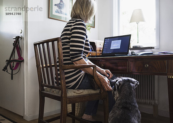 Hund sitzend von Seniorin mit Laptop zu Hause