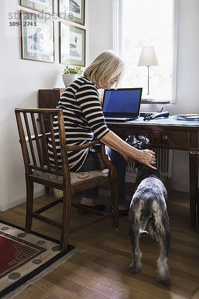 Seniorin streichelt Hund beim Sitzen auf dem Stuhl zu Hause