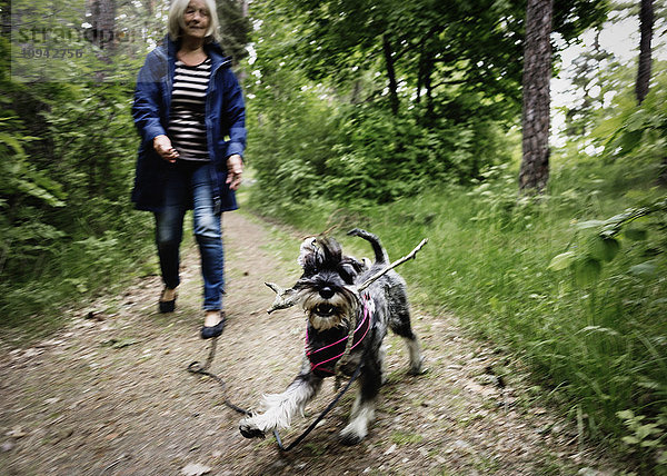 Seniorin beim Spaziergang mit Hund auf einem Wanderweg inmitten von Pflanzen