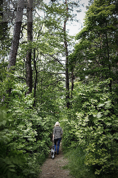 Rückansicht einer älteren Frau  die mit einem Hund auf einem Wanderweg inmitten von Bäumen spazieren geht.