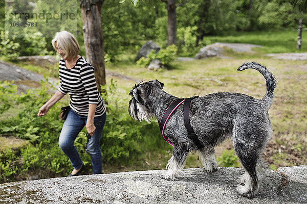 Glückliche Seniorin genießt mit Hund auf dem Feld