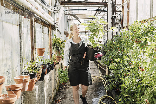 Gärtnerin mit Topfpflanzen und Spaziergang im Gewächshaus