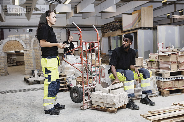 Schreinerinnen und Schreiner  die auf der Baustelle arbeiten