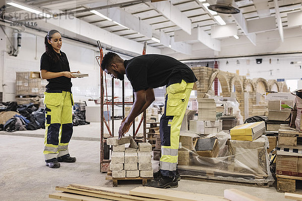 Schreinerei-Studenten  die vor Ort arbeiten