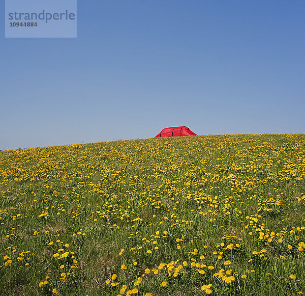 Ein rotes Zelt auf einem Feld.