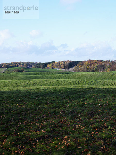 Üppige Hügellandschaft