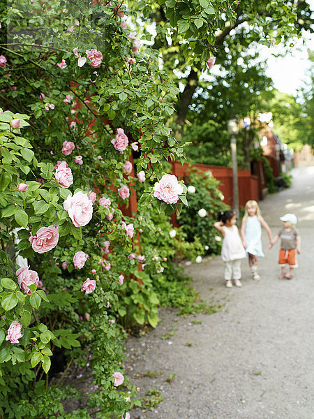 Drei Kinder auf der Landstraße