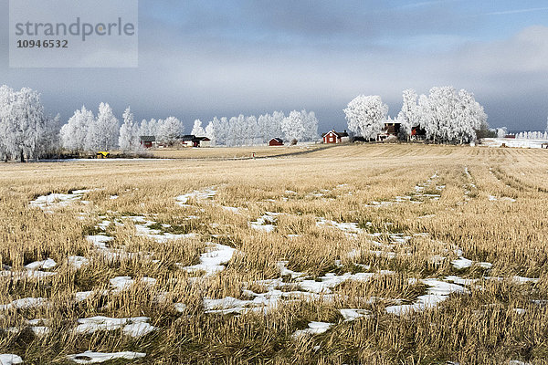 Wiese mit Schnee