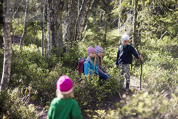 Kinder im Wald