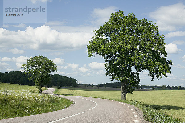 Blick auf die Landstraße