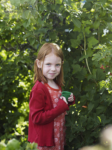 Mädchen pflückt rote Johannisbeeren im Garten