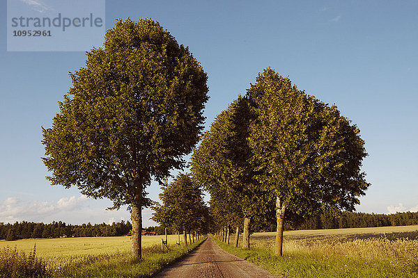 Alle auf der Straße