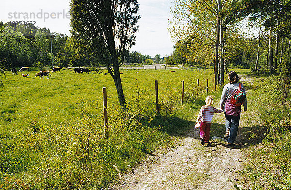 Frau und Mädchen gehen auf einer Weide mit Kühen den Weg hinunter.