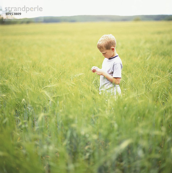 Junge auf Weizenfeld