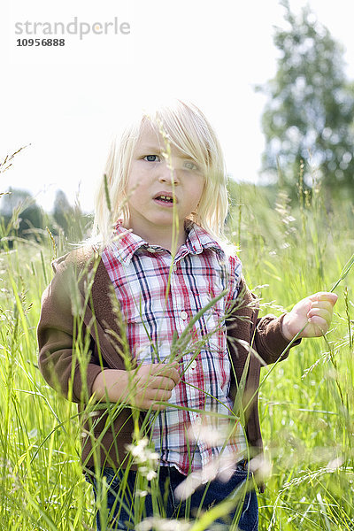 Ein kleiner blonder Junge steht im hohen Gras  Schweden.