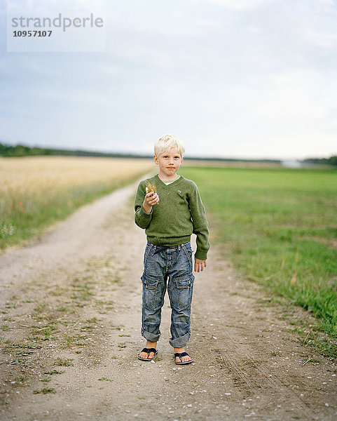 Junge geht an einem Maisfeld vorbei  Schweden.