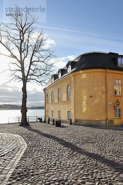 Haus und Baum am Wasser  Stockholm  Schweden.