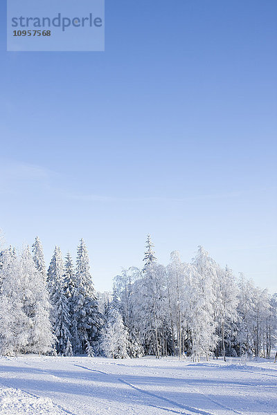 Winterliche Landschaft  Schweden.