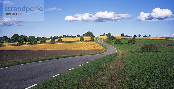 Eine Straße durch eine Kulturlandschaft  Schweden.