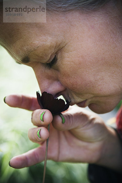 Frau riecht an einer Blume  Schweden.