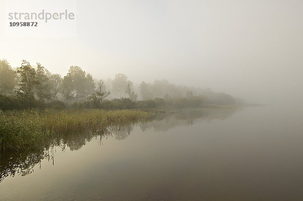 In Nebel gehüllter See in der Morgendämmerung  Schweden.