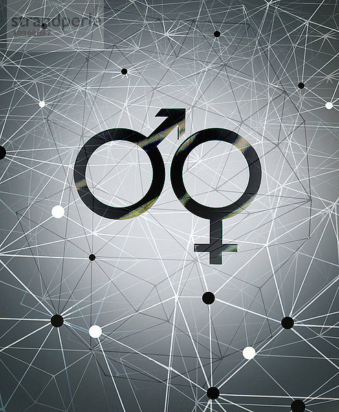 Männliches und weibliches Geschlechtssymbol und Netzwerkmuster