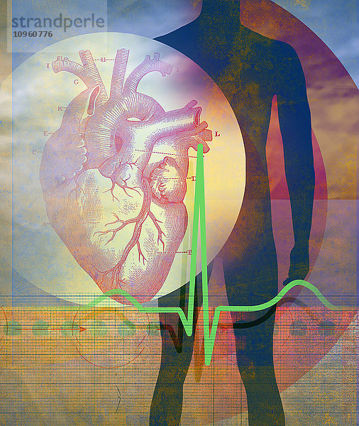 EKG  Zielscheibe und anatomische Illustration eines Herzens über dem Körper eines Mannes