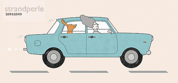 Frau fährt Auto mit Hund und offenen Fenstern