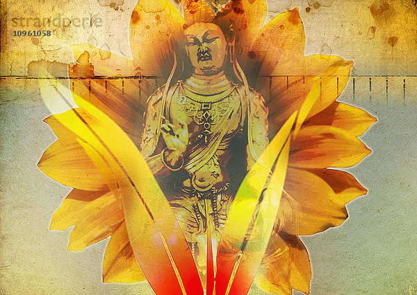Lotusblume hinter einem Buddha-Bild