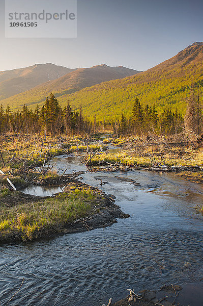 Landschaftlicher Blick auf einen Bach im Eagle River Valley  Chugach State Park  Süd-Zentral-Alaska