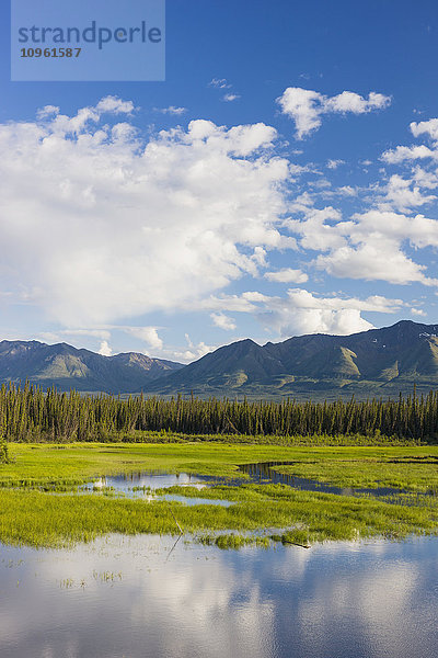 Aussicht auf Feuchtgebiete und Berge nördlich des Kluane-Sees  Yukon-Territorium  Kanada  Sommer